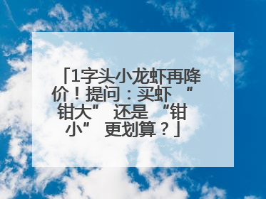 1字头小龙虾再降价！提问：买虾 “钳大” 还是 “钳小” 更划算？